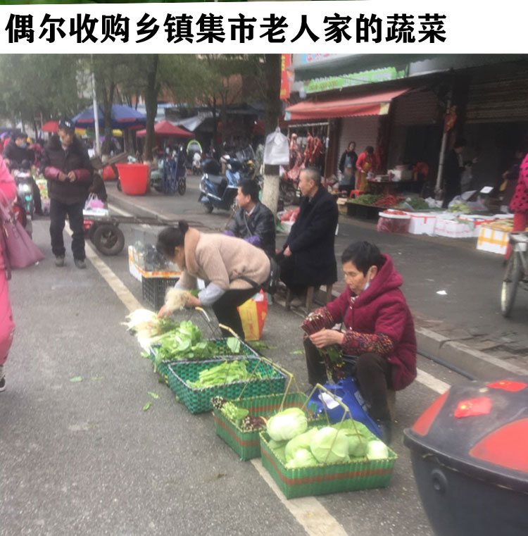 南方自种白萝卜江西家乡蔬菜萍乡市莲花县农家肥蔬菜5斤包邮-图1