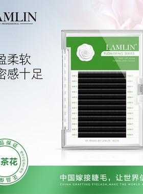 山茶花柔软浓密自然假眼睫毛