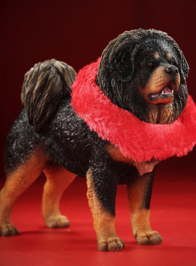 Mr.Z 1/6藏獒犬雪獒模型仿真动物狗桌面手办中式树脂饰品日常摆件