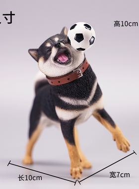JXK 1/6 柴犬接飞盘玩足球搞笑狗手办仿真高端动物模型树脂摆件品