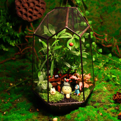 苔藓植物微景观生态瓶玻璃花房创意迷你绿植龙猫diy盆栽生日礼物 虎窝淘
