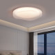 2026 New Main Light Ceiling Light Full Spectrum Eye Protection