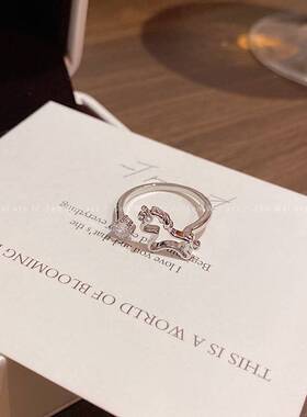 韩系微镶锆石小马戒指女小众设计高级感指环气质时尚百搭网红配饰