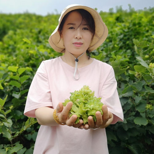 东北野生铁岭开口榛子生的小榛子生榛子山榛子野山开原特产原源香 - 图1