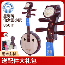 Beijing Star Marine Musical Instrument 8501T Hard Wood Bones Flowers Small Nguyen Fei Tianxian Female Figure National Musical Instrument Beginology Violin Sending Accessories