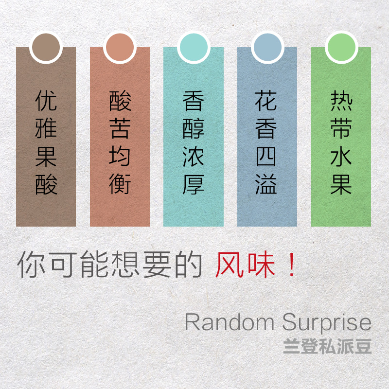 豆兽咖啡 | RandomSurprise 兰登私派豆 随机惊喜豆 咖啡豆 100g