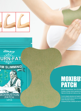 Arm Care Patch Lazy Slimming Patch Wormwort Essence Gently N