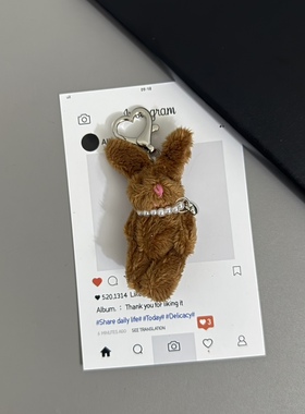 卡通毛绒小熊兔包包挂饰钥匙扣挂件手机壳耳机套挂链配饰可爱女