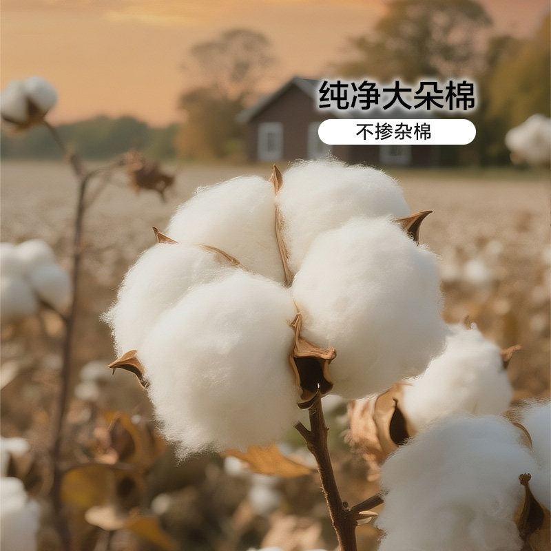 富安娜棉花被新疆全棉被子四季纯棉絮被芯春秋被宿舍被褥冬被馨梦,淘宝优惠券,粉丝福利购,淘宝优惠卷