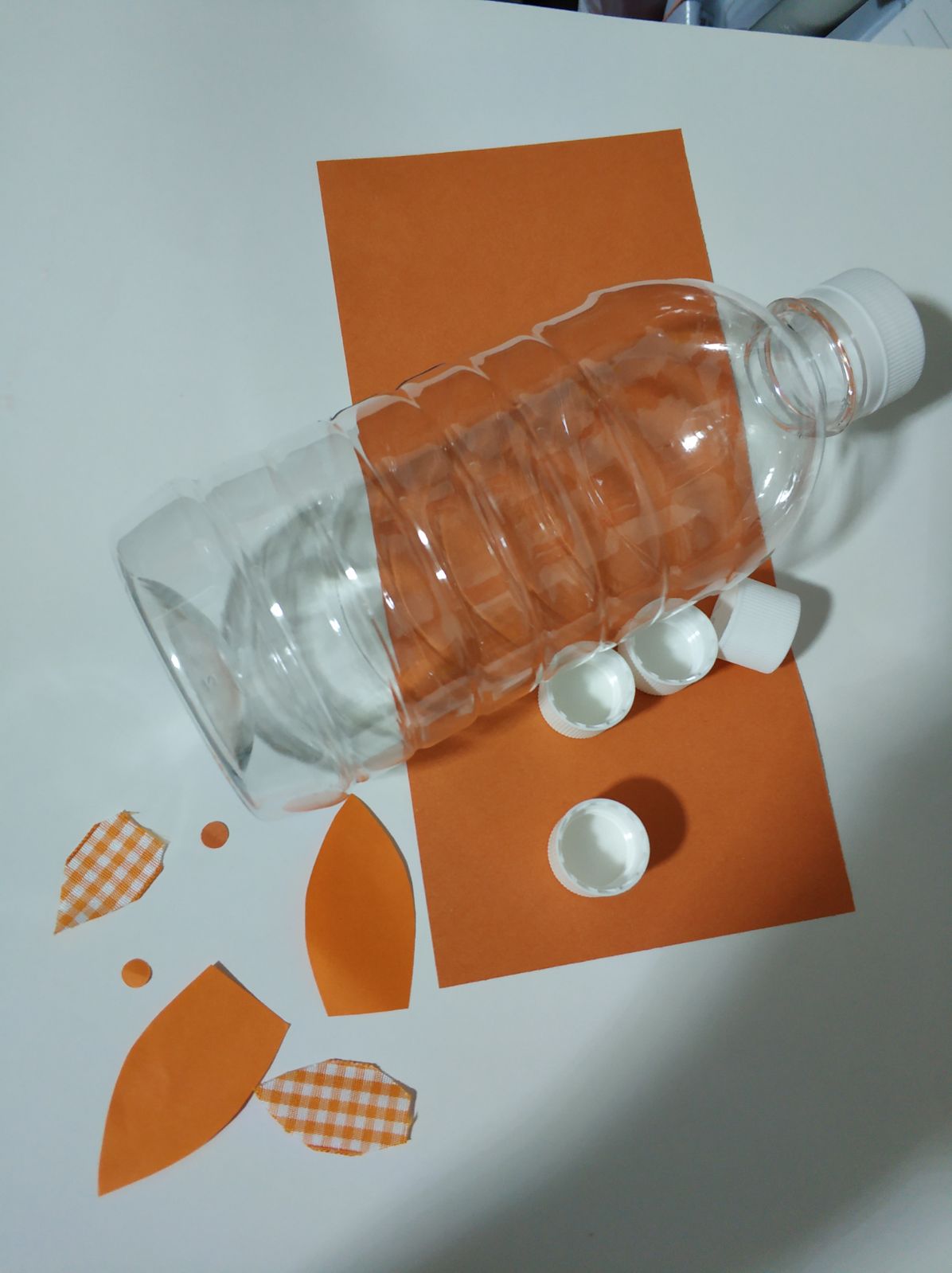 塑料瓶小动物手工小制作废物利用环保变废为宝环保手工美劳-图3