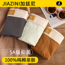 Underwear boy pure cotton autumn and winter style antibacterial and breathable men 2023 new mens pants underpants flat corner shorts head