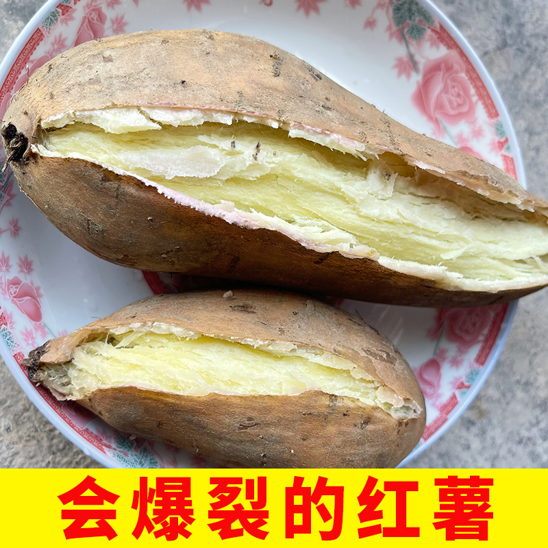 高州爆皮王番薯白心面包王红薯新鲜粉糯香甜现挖农家板栗干面地瓜
