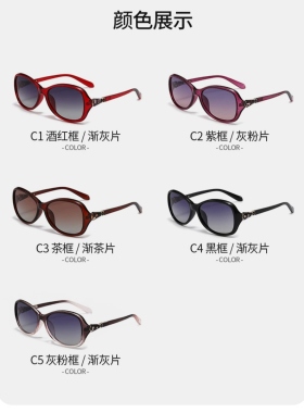 新款女士太阳镜欧美时尚个性偏光墨镜网红高级感街拍眼镜淑女