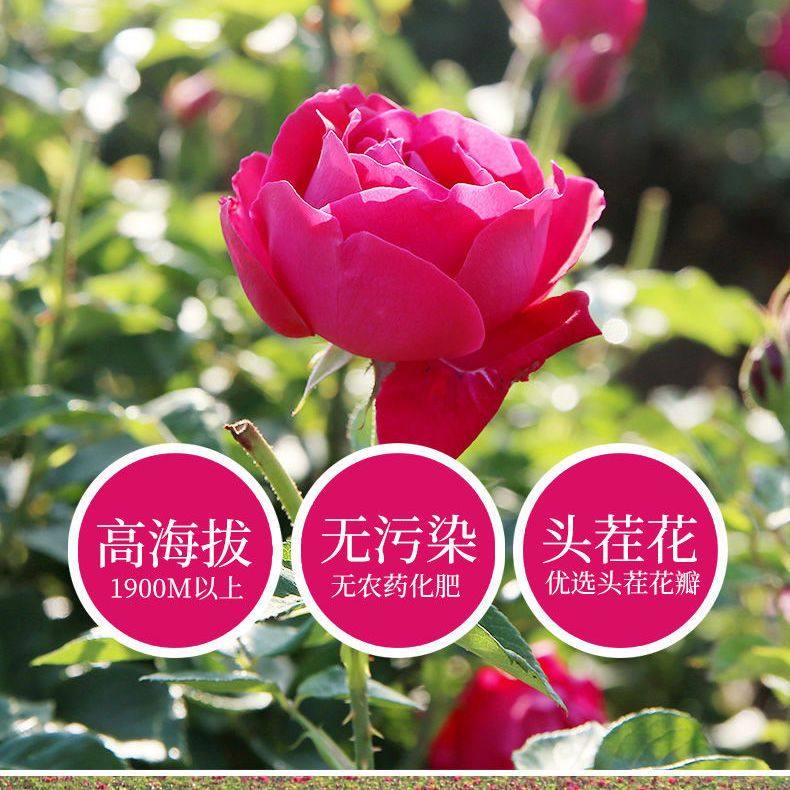 云南特产鲜花饼传统玫瑰花休闲网红糕点小吃早餐整箱零食散装经典,淘宝优惠券,粉丝福利购,淘宝优惠卷