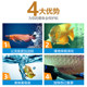 Debon Arowana Vitality Supplement Vitamins to Prevent Anorexia