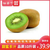 Fresh imported fruits as the chic exotic fruits of the season.