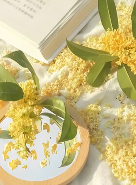 桂花味香水合集茶香师桂花乌龙安南之香柚子桂花乌龙茶试香小样