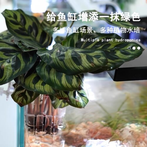 鱼缸水培架定植篮壁挂式水草杯绿萝植物固定器支架造景装饰配件 - 图2