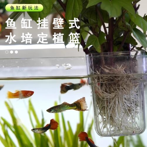 鱼缸水培架定植篮壁挂式水草杯绿萝植物固定器支架造景装饰配件 - 图0