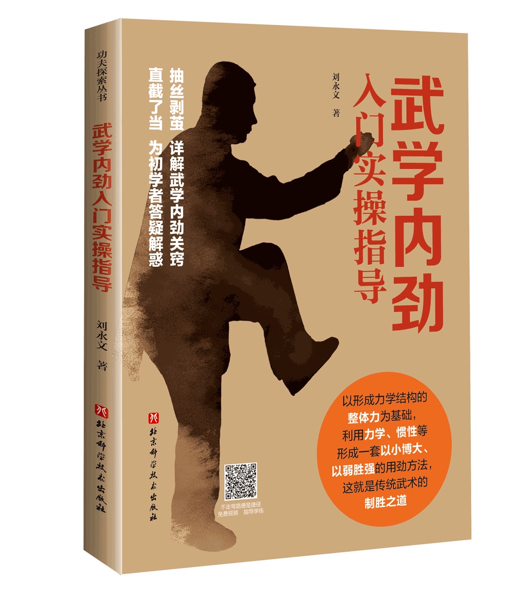 3册 内家拳几何学 三维空间里的劲与意+内家拳的正确打开方式+武学内劲入门实操指导 内家拳姿势动作训练全套动作教学书籍拳术原