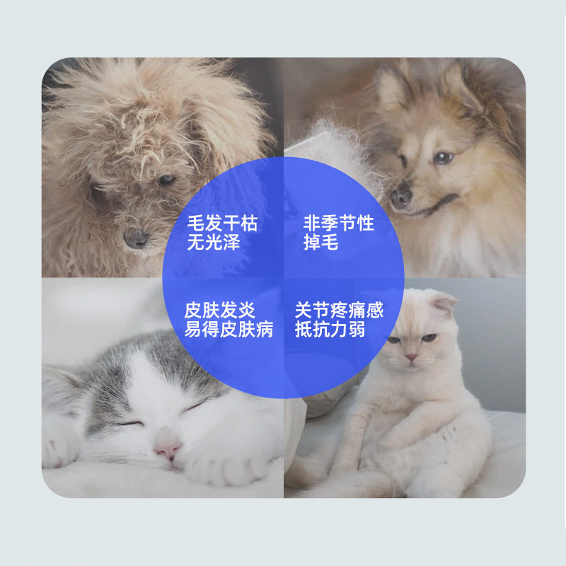 鱼油猫用狗狗猫咪专用宠物防掉毛美毛靓毛护肤犬用深海鱼肝油用品,淘宝优惠券,粉丝福利购,淘宝优惠卷