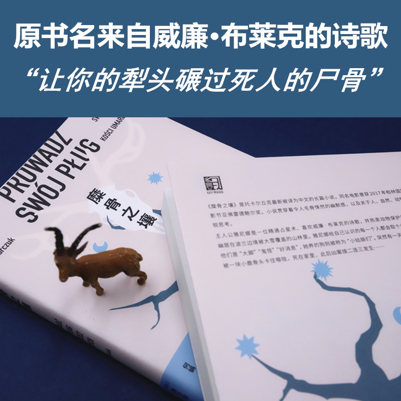 糜骨之壤奥尔加托卡尔丘克著诺贝尔文学奖得主托托卡尔丘克长篇小说正版外国波兰文学现当代犯罪悬疑生态主义长篇小说畅销书籍-图2