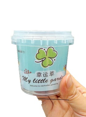 学生diy手工种植小盆栽幼
