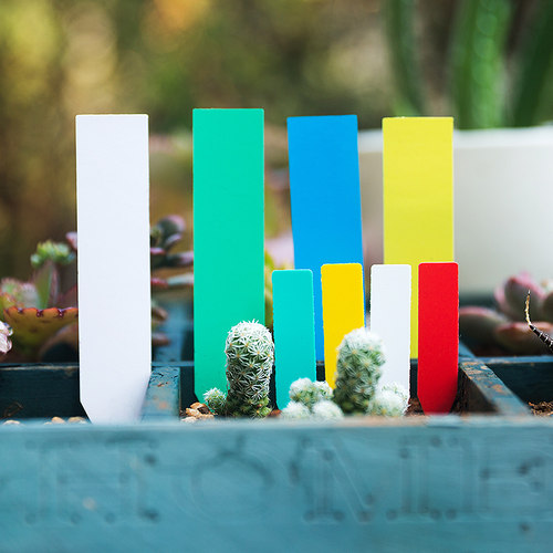 100片多肉标识牌塑料防水插签一字牌园艺植物标签花卉牌苗木记号 - 图2