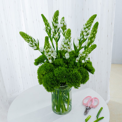 绿毛球圣心百合雀梅鲜花云南基地直发鲜切花束小众草花配草 - 图3