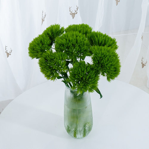 绿毛球圣心百合雀梅鲜花云南基地直发鲜切花束小众草花配草 - 图0