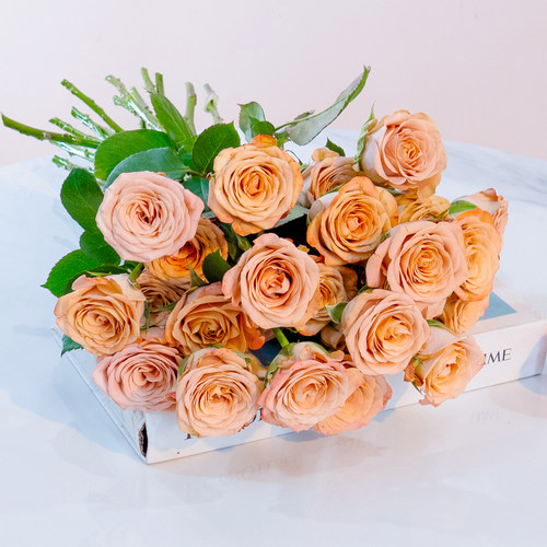 红玫瑰花鲜切花鲜花云南基地直发向日葵百合花鲜花康乃馨水养花束 - 图2
