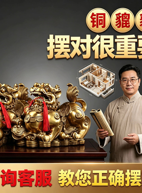 家居摆件工艺品黄铜招财貔貅一对