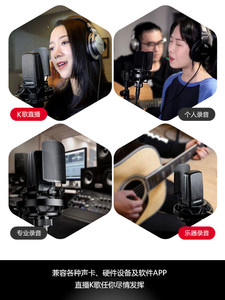 得胜专业电容麦录音棚设备直播K歌合唱喊麦手机电脑声卡套装德胜