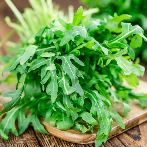 壹香 芝麻菜500g 火箭菜 新鲜蔬菜沙拉食材生菜 西餐轻食色拉菜 - 图2