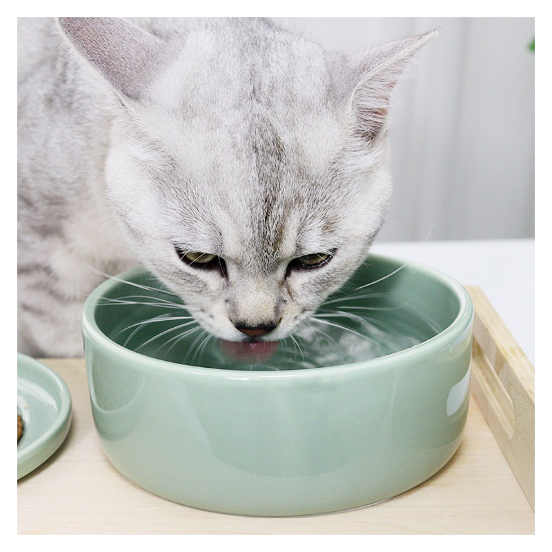 日本原装进口Petio派地奥猫碗猫咪专用多喝水碗英短布偶富硒猫碗-图1