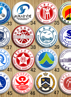 辽宁本科高校东北大学徽章胸针