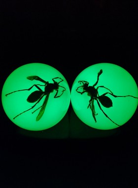 古玩旧藏珍藏漆器盒装夜光蜜蜂成对圆球大清造乾清宫藏手镯一对