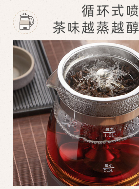 家用煮茶器小熊煮茶黑茶
