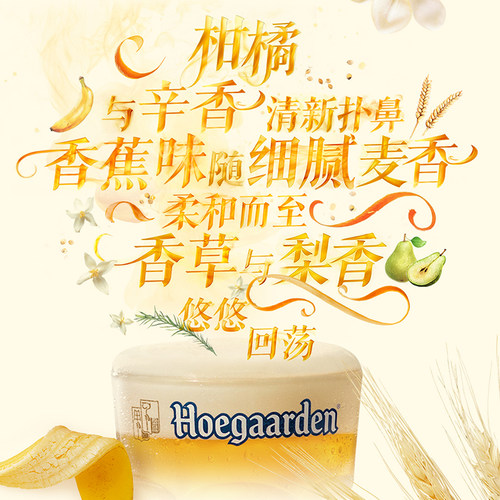福佳白啤酒500ml*18听精酿啤酒整箱批发11.7度小麦白啤比利时风味 - 图1