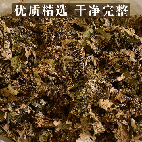 云南大理特产野生树皮菜野菜树皮树花凉拌菜青蛙皮原始森林树蝴蝶 - 图0