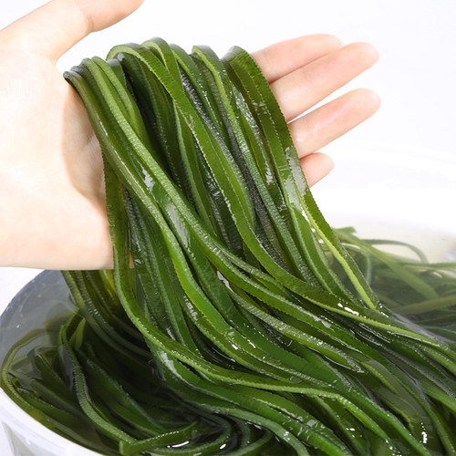 10斤盐渍海带丝新鲜半干货厚野生海带结片非特级昆布丝箱装包邮 - 图1