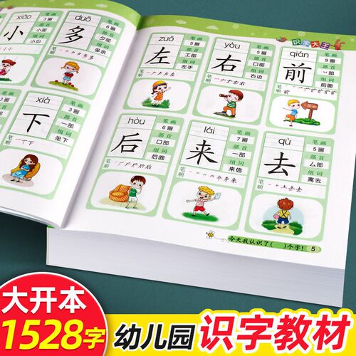 儿童学前看图识字书3-6岁幼儿园1528字 识字大王注拼音版 一年级学前班幼小衔接幼升小教材语文学习早教卡3-4-5-6-7岁宝宝学汉字书 - 图0