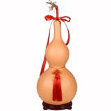 Бутик натуральная тыква украшения необычайно гигантское Hulu Home Выбор реальных снимков с головой дракона, одна вещь, одна картина