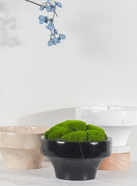 天然大理石青苔藓植物花瓶盆栽