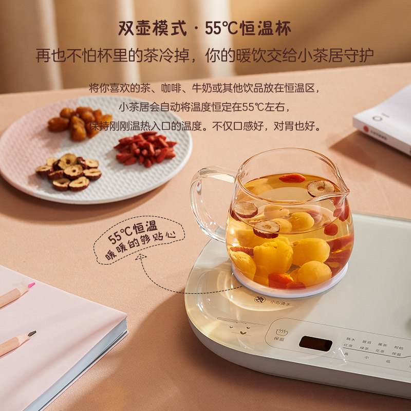 荣事达办公室小型家用煮茶器养生壶 荣事达森岳养生壶/煎药壶