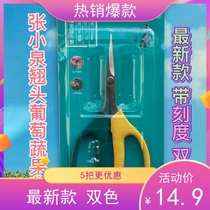 New boutique Zhang Koizumi grapes cut stainless steel teething head straight up fruit and vegetable fruit potted garden garden scissors