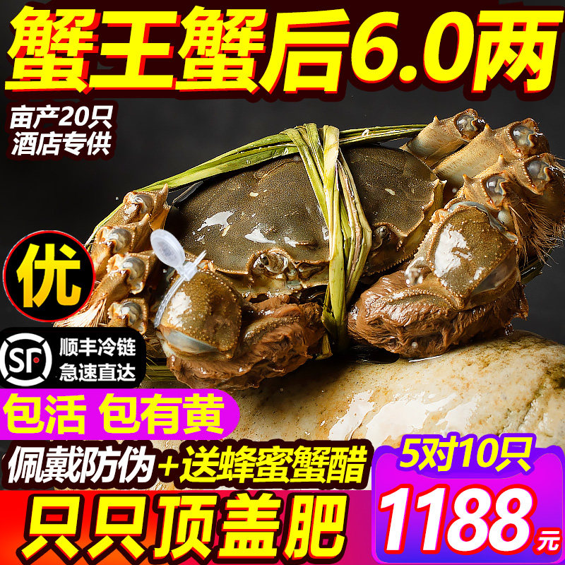 活蟹6.0大闸蟹鲜活阳澄蟹礼现货10只蟹王特大公全母螃蟹官方旗舰,淘宝优惠券,粉丝福利购,淘宝优惠卷