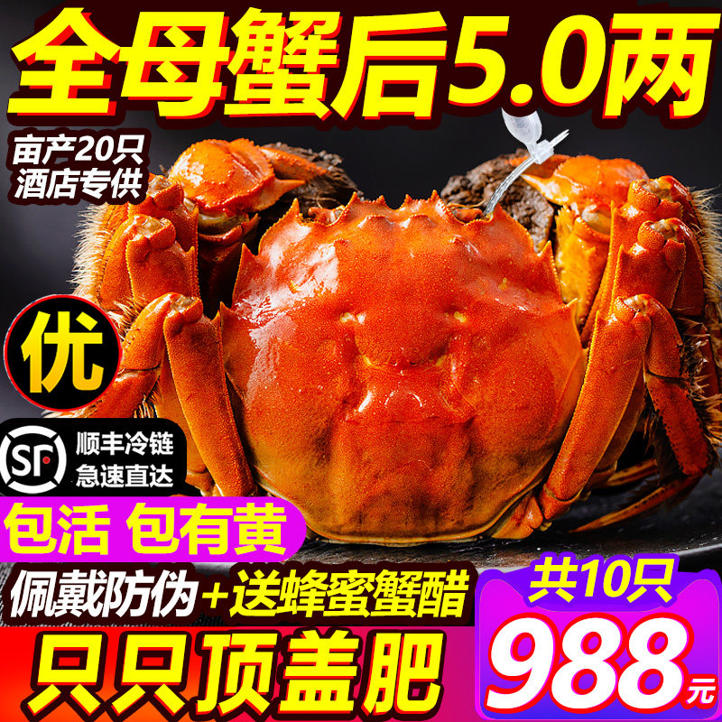 活蟹6.0大闸蟹鲜活阳澄蟹礼现货10只蟹王特大公全母螃蟹官方旗舰,淘宝优惠券,粉丝福利购,淘宝优惠卷