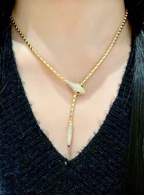 欧美小众设计感蛇形项链轻奢高级感锁骨链锆石抽拉式个性时尚颈链