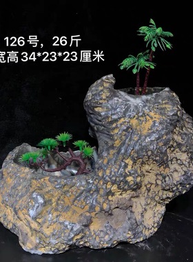 天然珊瑚虫化石蜂巢小花盆烟灰缸